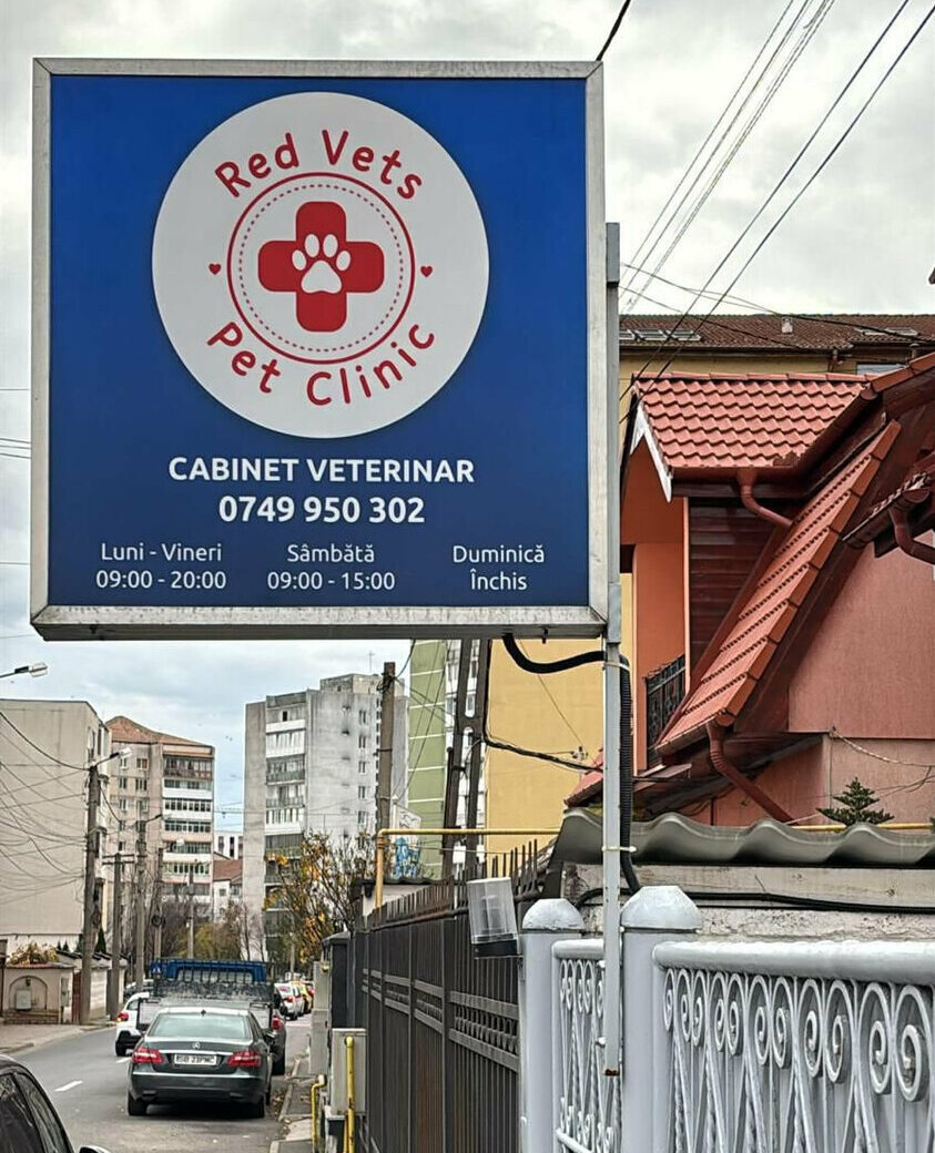 totem luminos fata verso sibiu pentru cabinet veterinar cu vizibilitate din ambele sensuri pe strada
