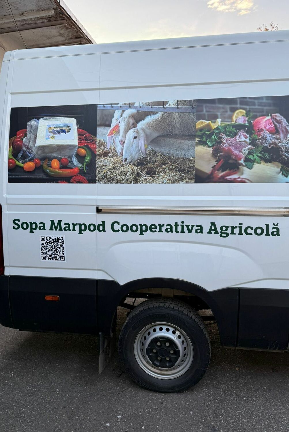 colantare auto lateral duba transport alimentar in sibiu personalizare completa pentru branding profesional si promovare eficienta
