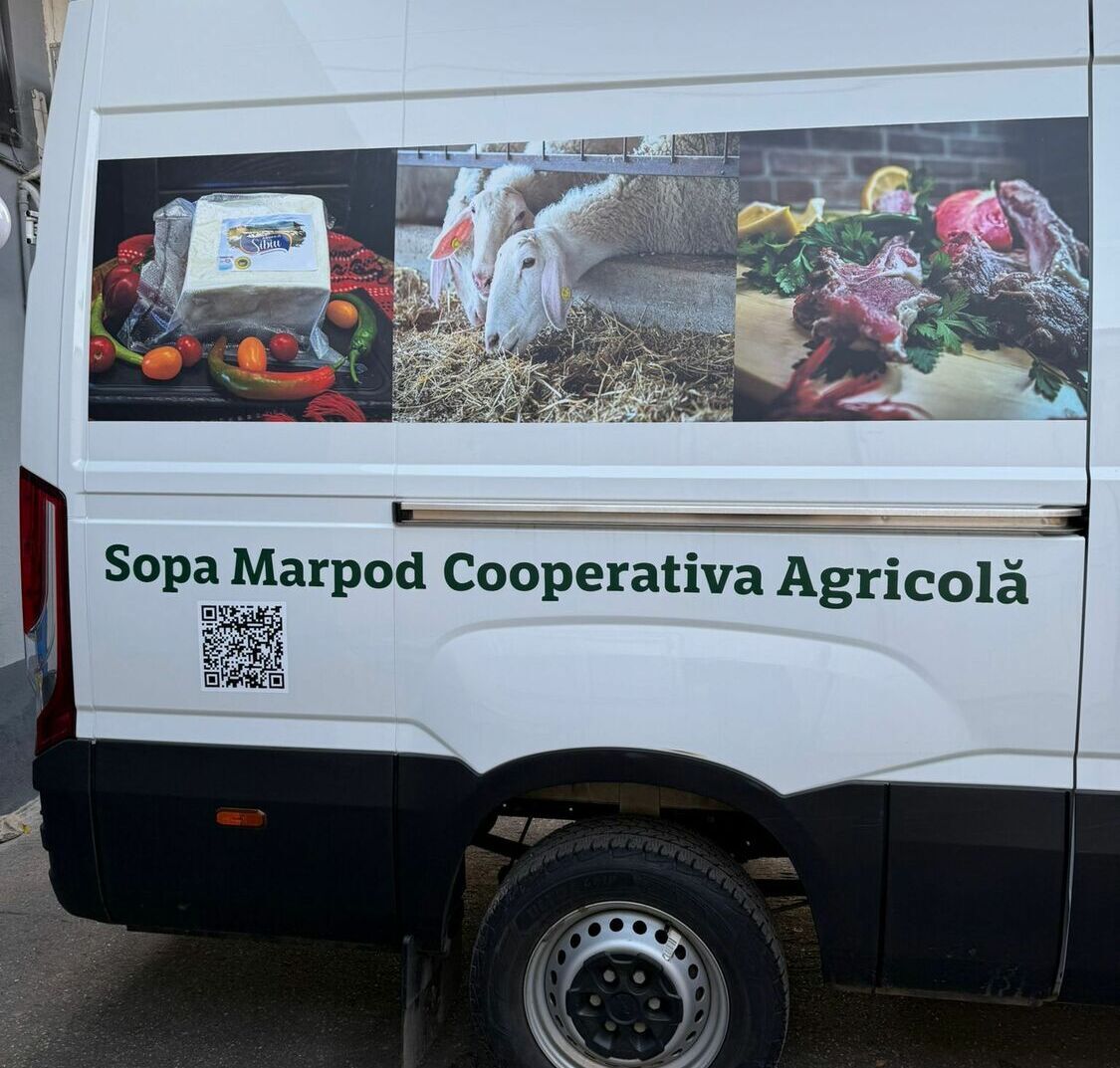 inscriptionare duba lateral sibiu pentru firma agricola branding auto vizibilitate maxima si imagine premium in trafic colantare auto lateral duba transport alimentar in sibiu personalizare completa pentru branding profesional si promovare eficienta