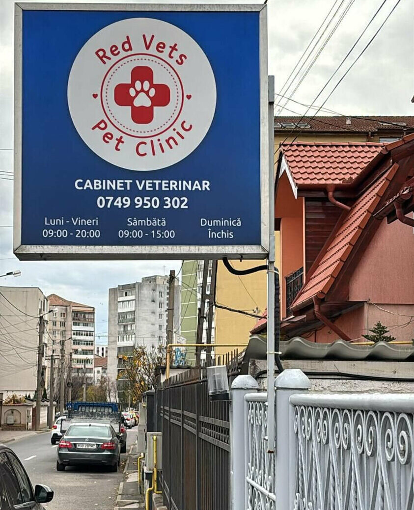 caseta luminoasa sibiu dubla fata realizata pentru cabinet veterinar montaj pe stalp metalic vizibilitate maxima din ambele sensuri pentru orientare rapida si atragerea clientilor