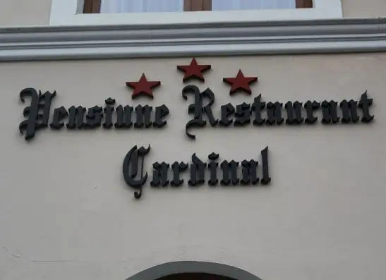 Litere volumetrice din polistiren Sibiu pentru pensiune si restaurant, semnalistica decorativa 3D cu aspect elegant