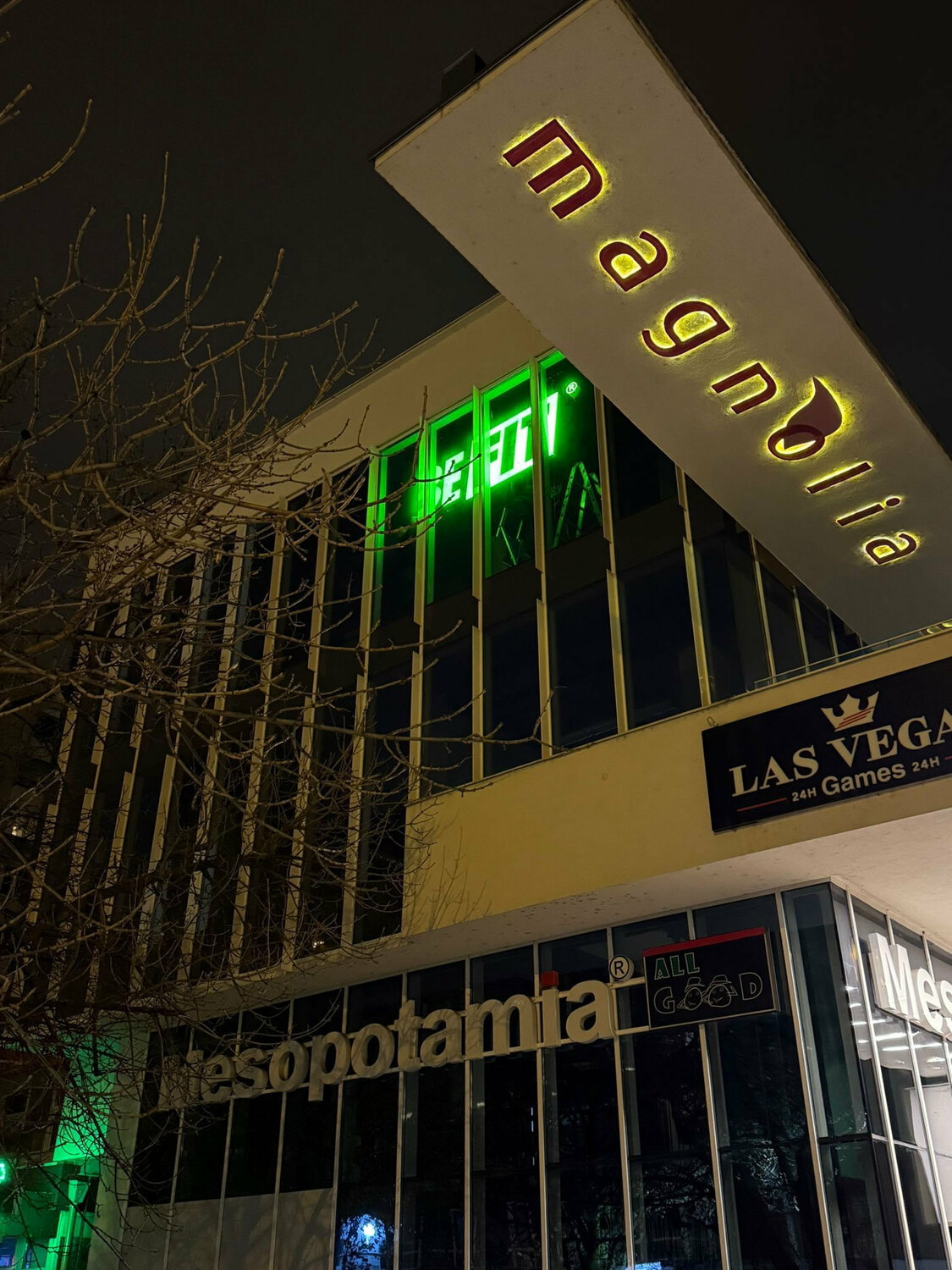 <span style="font-weight: bold;">Reclame Luminoase&nbsp;</span>