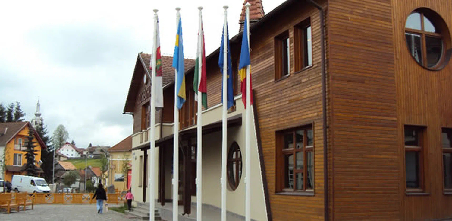 <span style="font-weight: bold;">Catarge/ Steaguri</span><br>